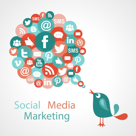Social Media Marketing