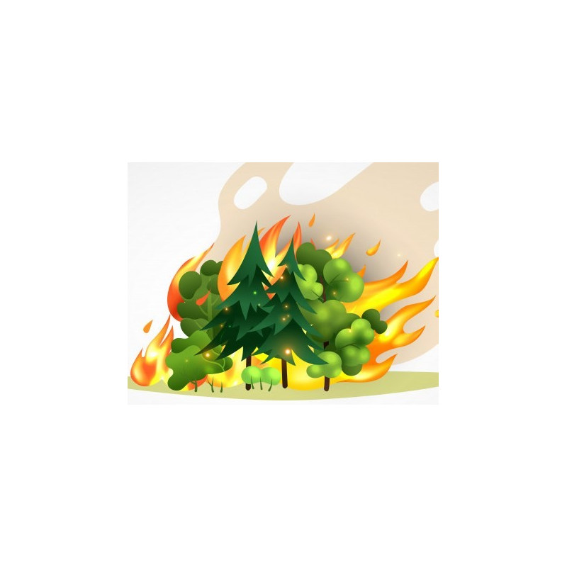 Segurança e Comportamento do Incêndio Rural