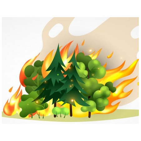 Segurança e Comportamento do Incêndio Rural
