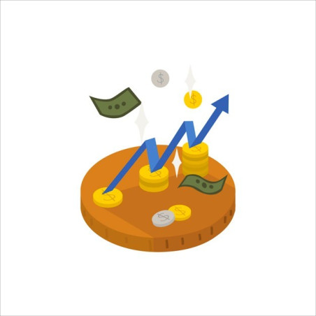 Gestão Financeira e Orçamental de Organizações Desportivas