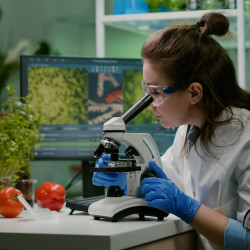 Microbiologia Alimentar